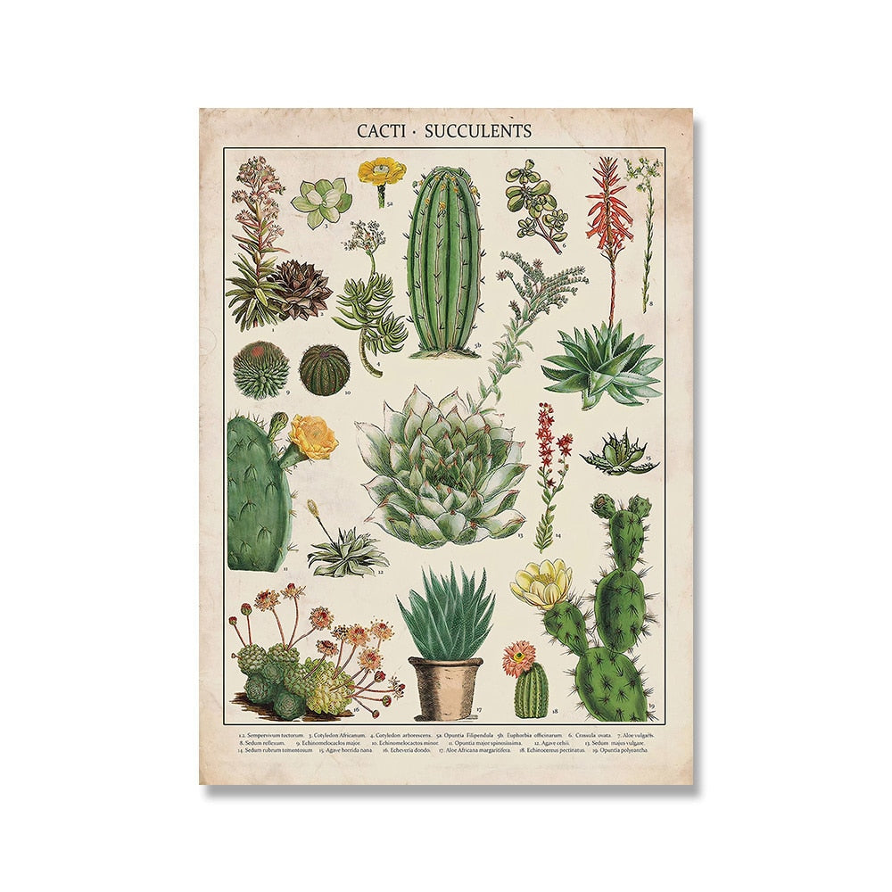 Vintage Botanische Prints Canvas Collectie – Klassieke Plantentekeningen Wanddecoratie