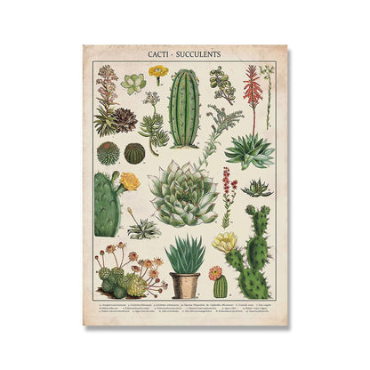 Vintage Botanische Prints Canvas Collectie – Klassieke Plantentekeningen Wanddecoratie