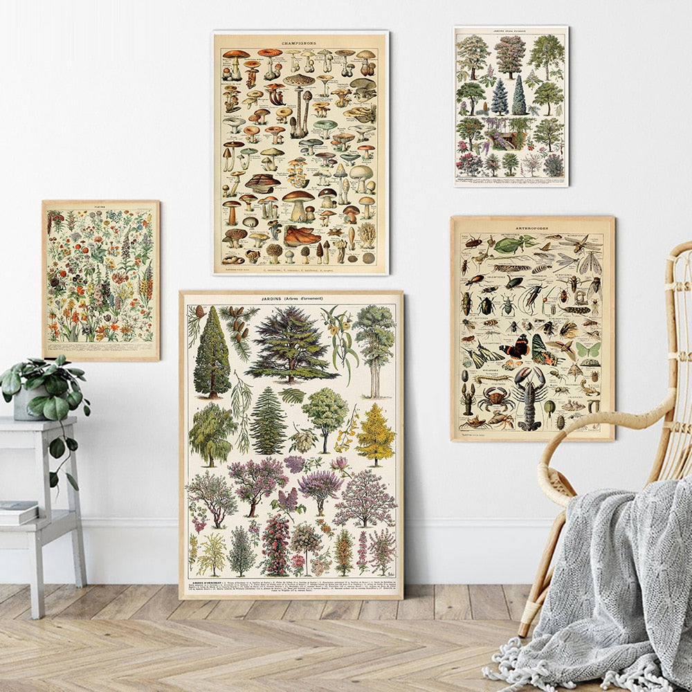Vintage Botanische Prints Canvas Collectie – Klassieke Plantentekeningen Wanddecoratie
