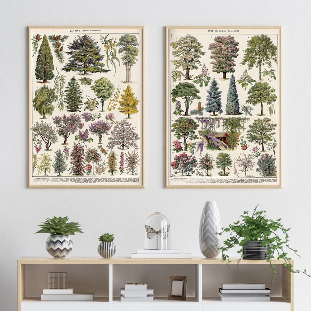 Vintage Botanische Prints Canvas Collectie – Klassieke Plantentekeningen Wanddecoratie