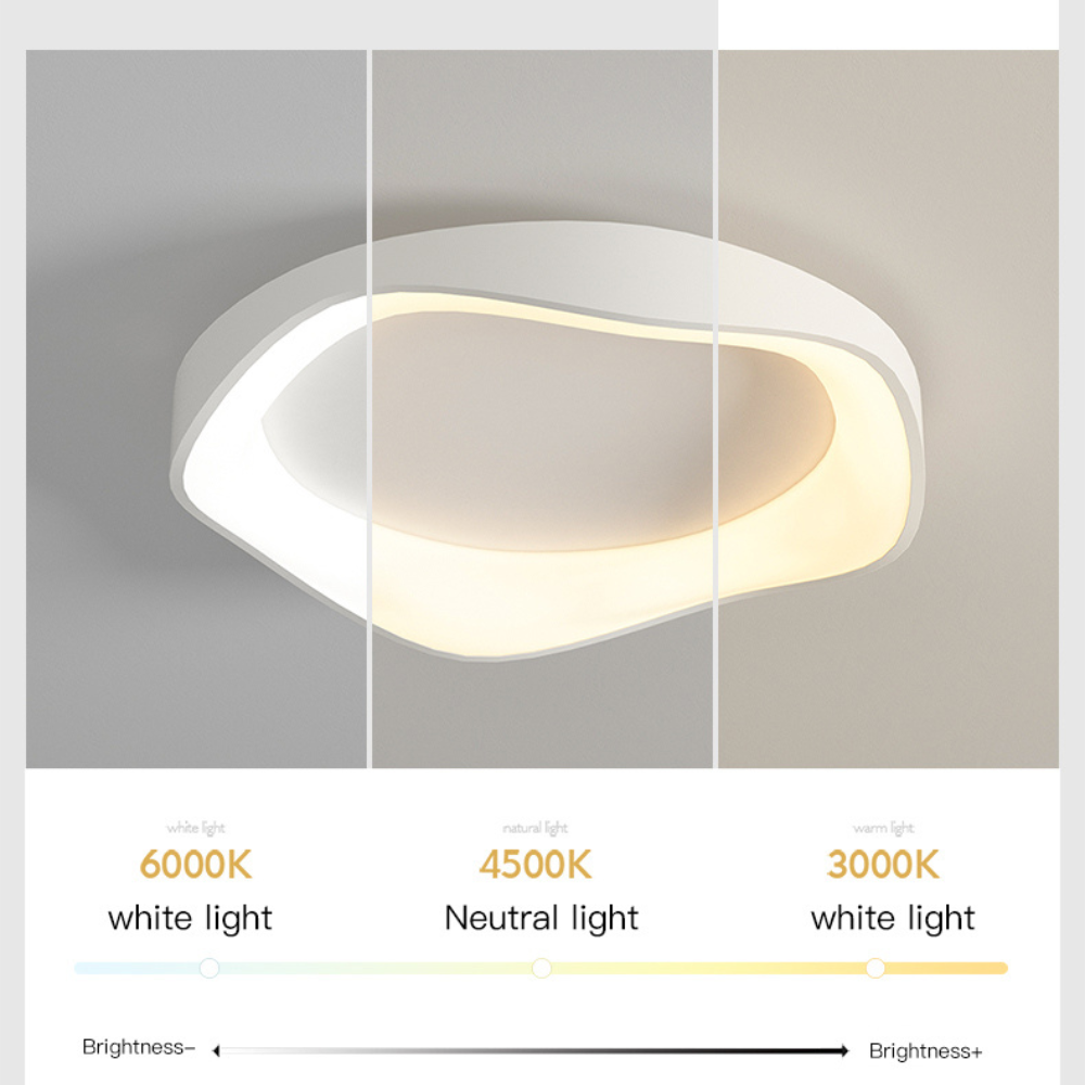 Japandi LED Plafondlamp Dimbaar Afstandsbediening Rond 40cm 50cm IJzer Acryl