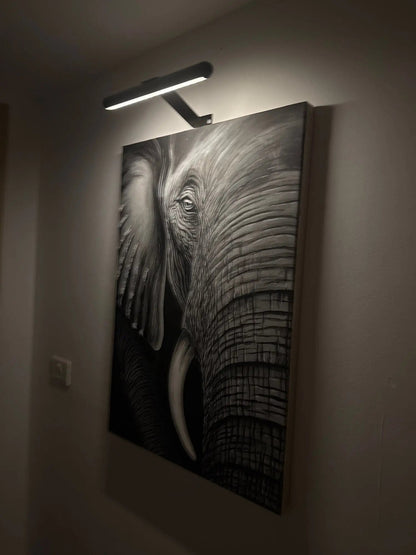 Draadloze LED Schilderijverlichting Zwart Wit Goud Dimbaar Verstelbaar USB Oplaadbaar