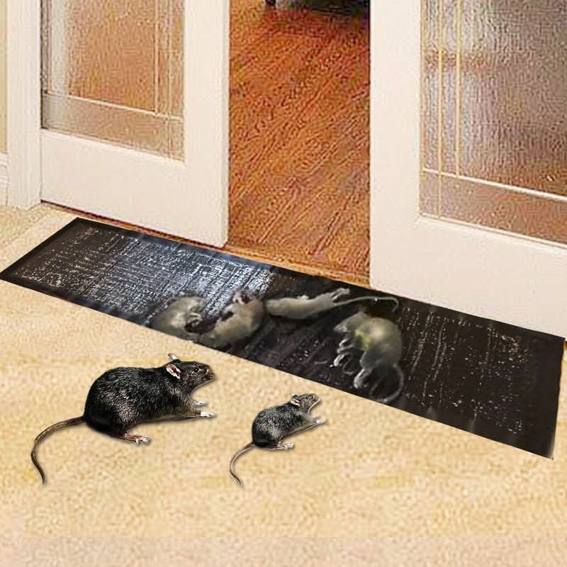 Plakvallen voor Schuur en Garage - Muizen en Ratten - Giftvrij - 10 Stuks met Grote Vangoppervlakte