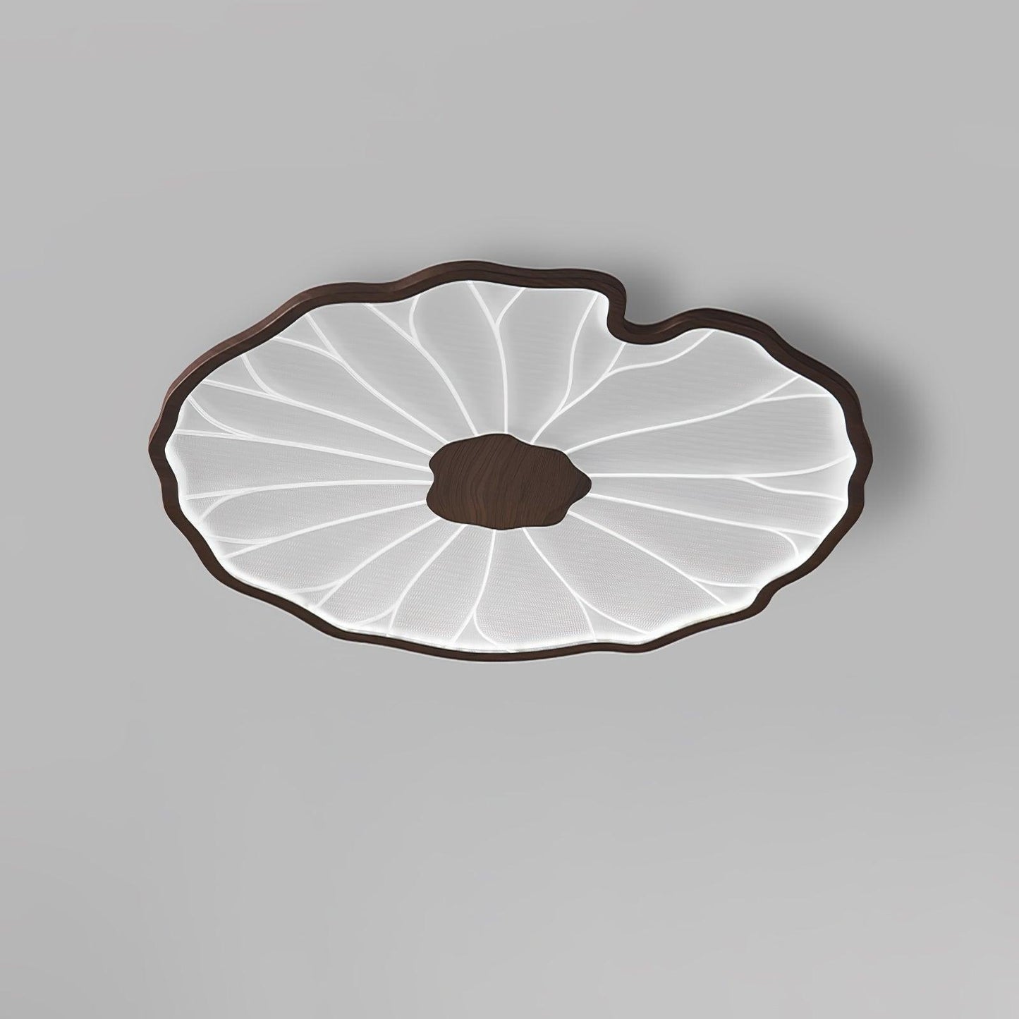 LED plafondlamp houtlook walnoot acryl metaal plafondlamp lage plafonds woonkamer slaapkamer designlamp