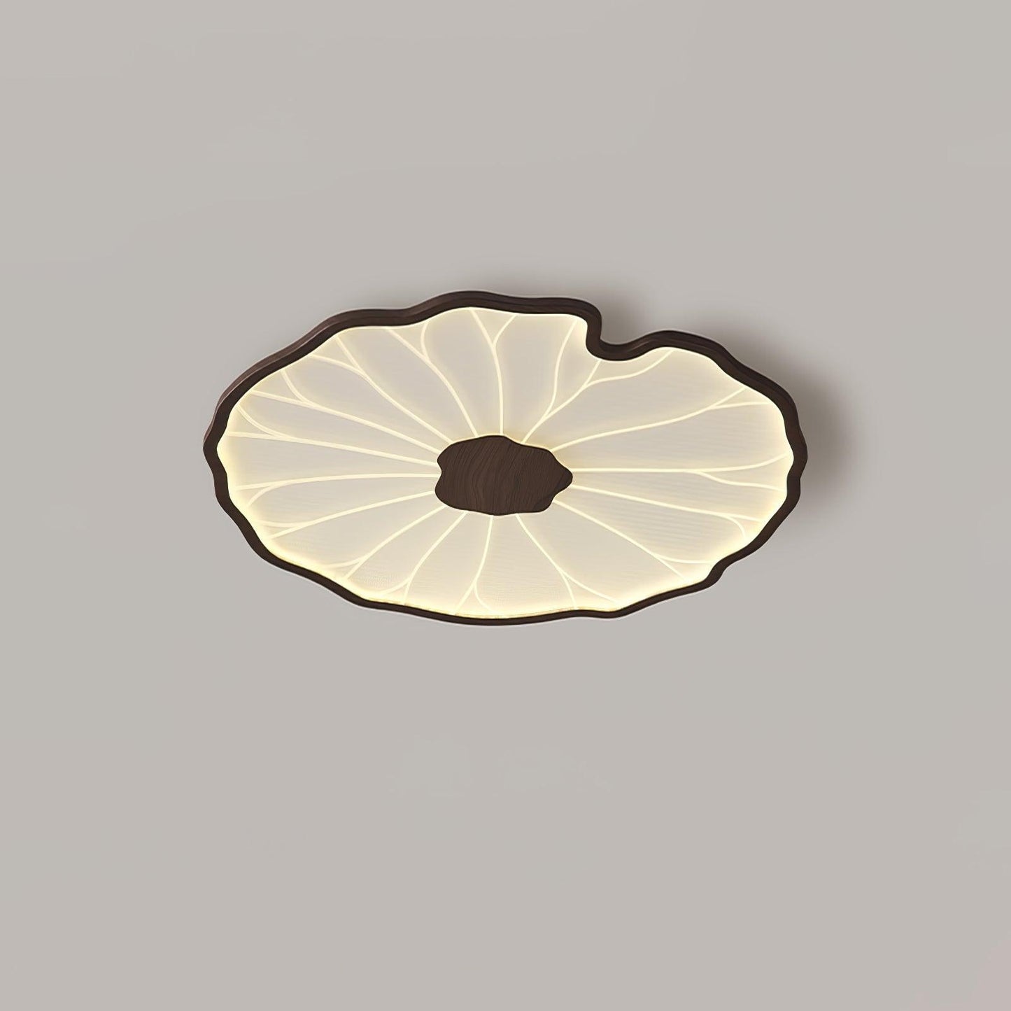 LED plafondlamp houtlook walnoot acryl metaal plafondlamp lage plafonds woonkamer slaapkamer designlamp