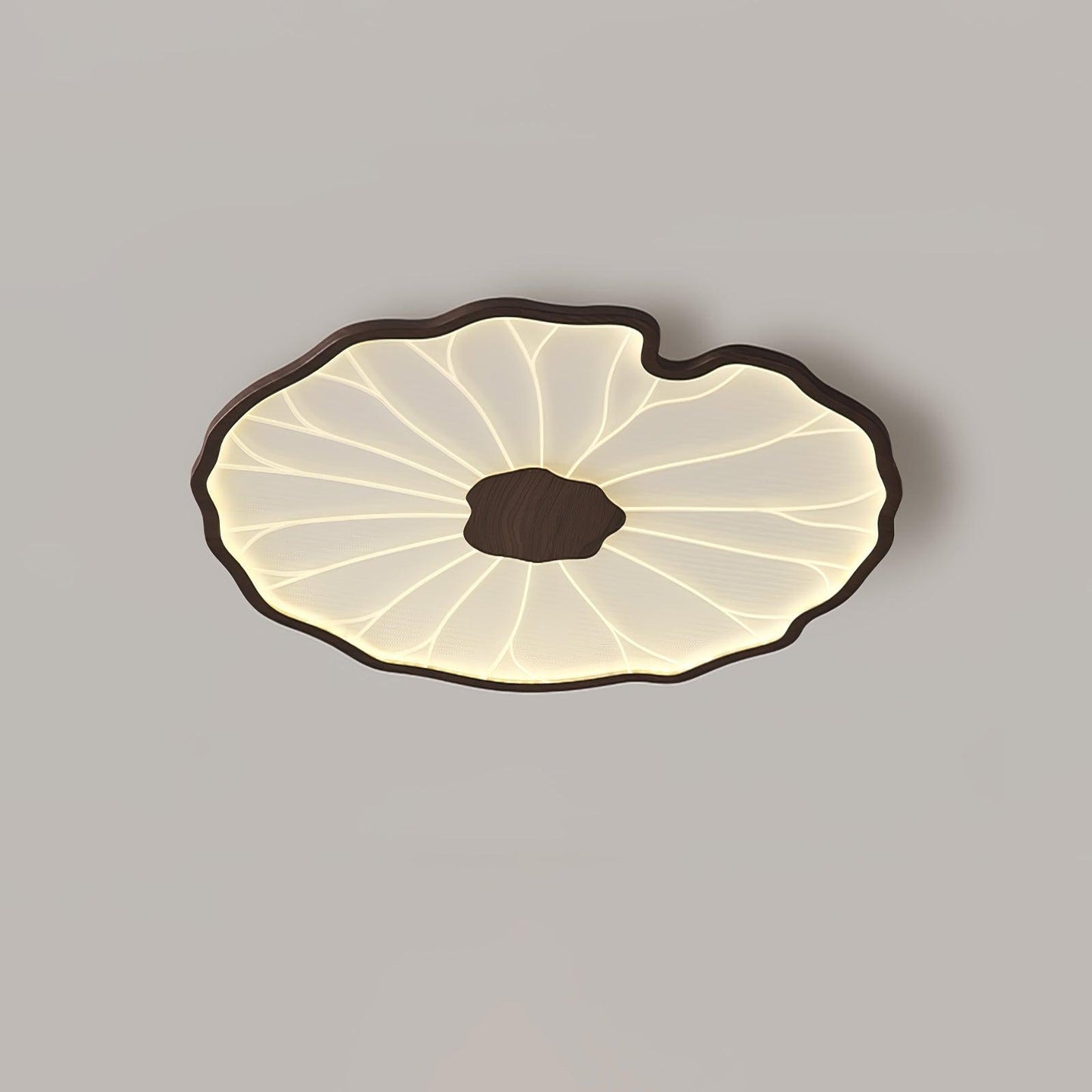 LED plafondlamp houtlook walnoot acryl metaal plafondlamp lage plafonds woonkamer slaapkamer designlamp