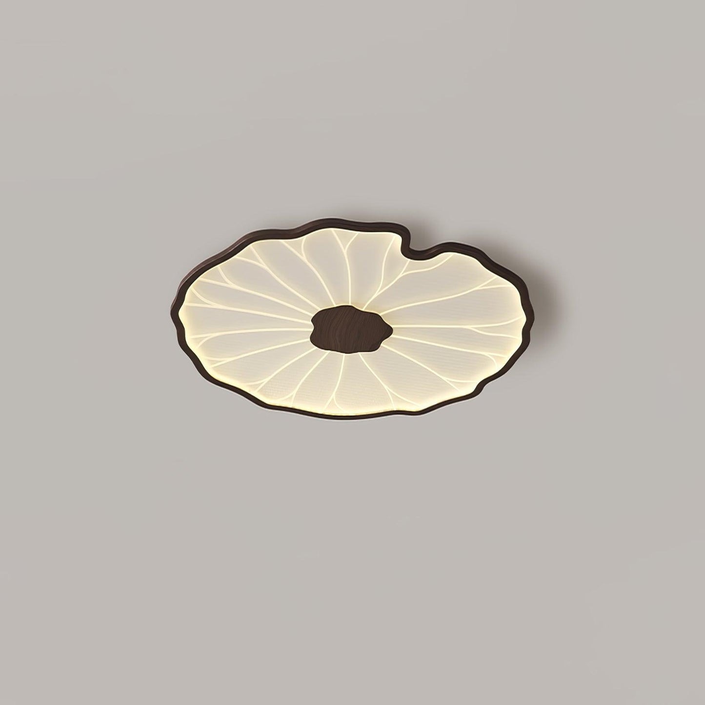 LED plafondlamp houtlook walnoot acryl metaal plafondlamp lage plafonds woonkamer slaapkamer designlamp