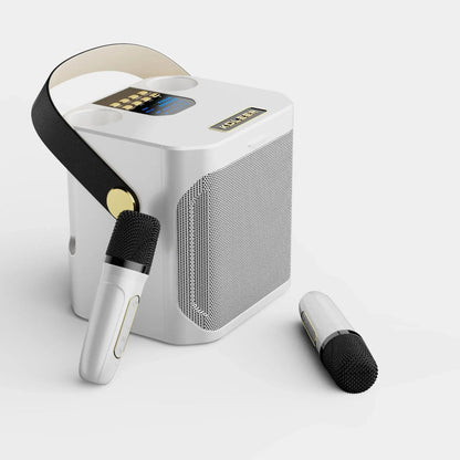 Draagbare Karaoke Bluetooth Speaker met Twee Draadloze Microfoons en 360° Geluid