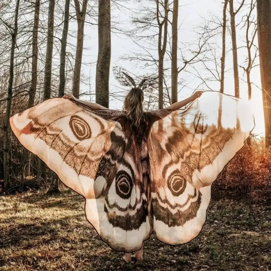 Nachtvlinder Cape Grey Moth – Elegante Vleugelomhang voor Creatieve Momenten