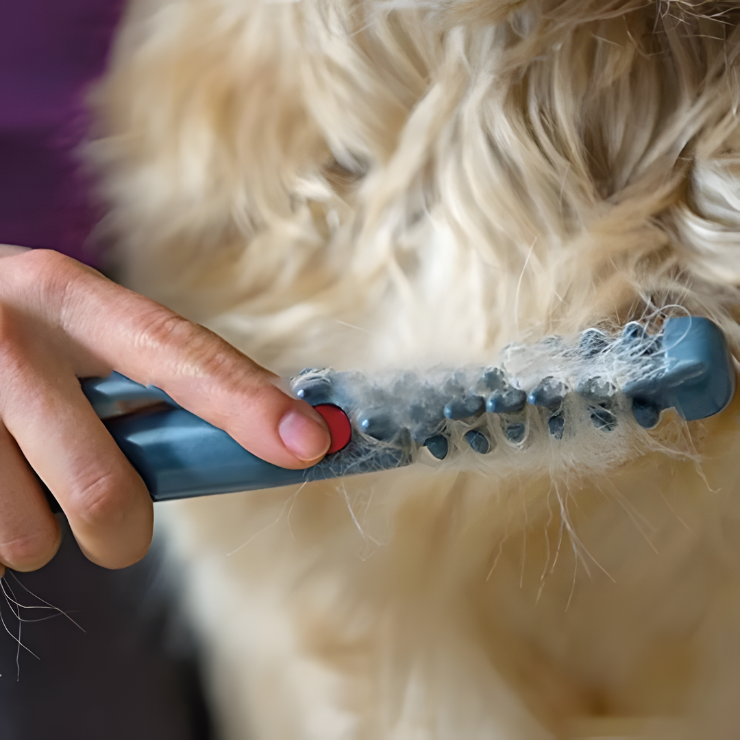 Huisdier Ontklitkam Trimmer voor Katten en Honden | Zachte Vachtverzorging