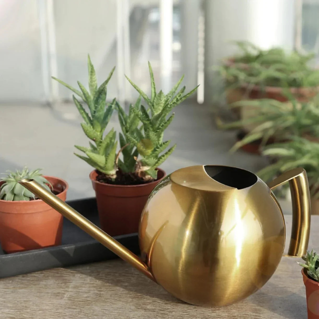 Minimalistische Plantengieter Ø 29 cm Roestvrij Staal voor Interieurplanten 1500 ml