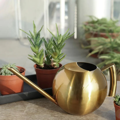 Minimalistische Plantengieter Ø 29 cm Roestvrij Staal voor Interieurplanten 1500 ml