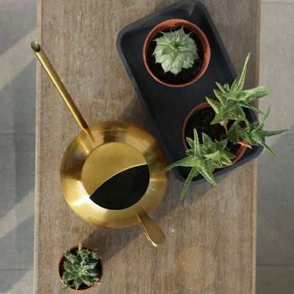 Minimalistische Plantengieter Ø 29 cm Roestvrij Staal voor Interieurplanten 1500 ml