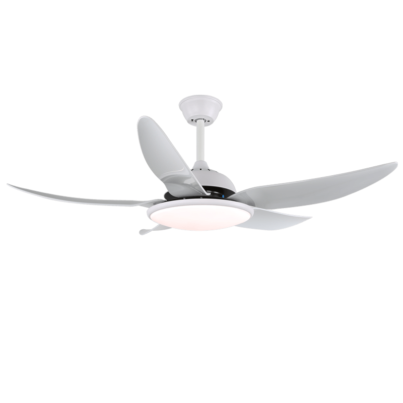 Plafondventilator Aquila Moderne Uitvoering met LED-verlichting en Afstandsbediening 6 Snelheden Ø122 cm voor Woonkamer Slaapkamer