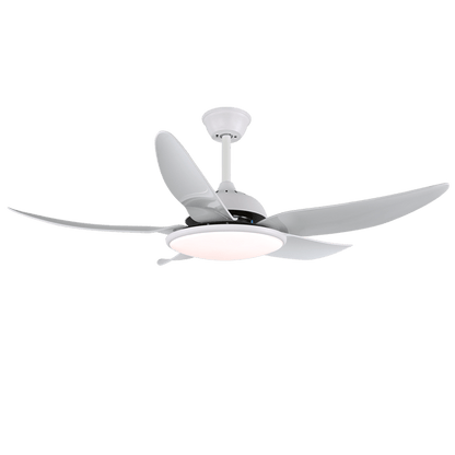 Plafondventilator Aquila Moderne Uitvoering met LED-verlichting en Afstandsbediening 6 Snelheden Ø122 cm voor Woonkamer Slaapkamer