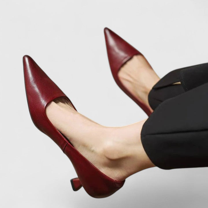 Dames Elegante Pumps Met Hak