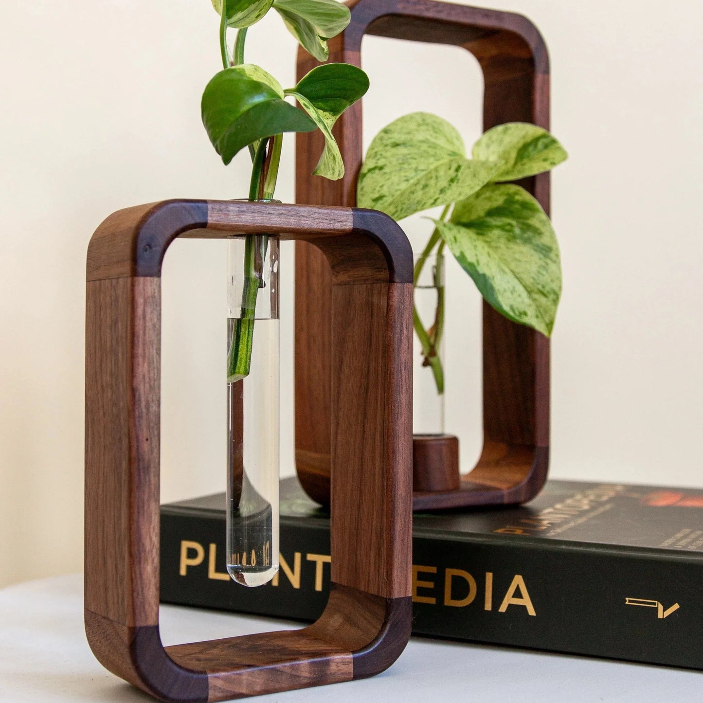 Glazen Vaas voor Stekjes met Houten Standaard – Decoratieve Propagator voor Planten