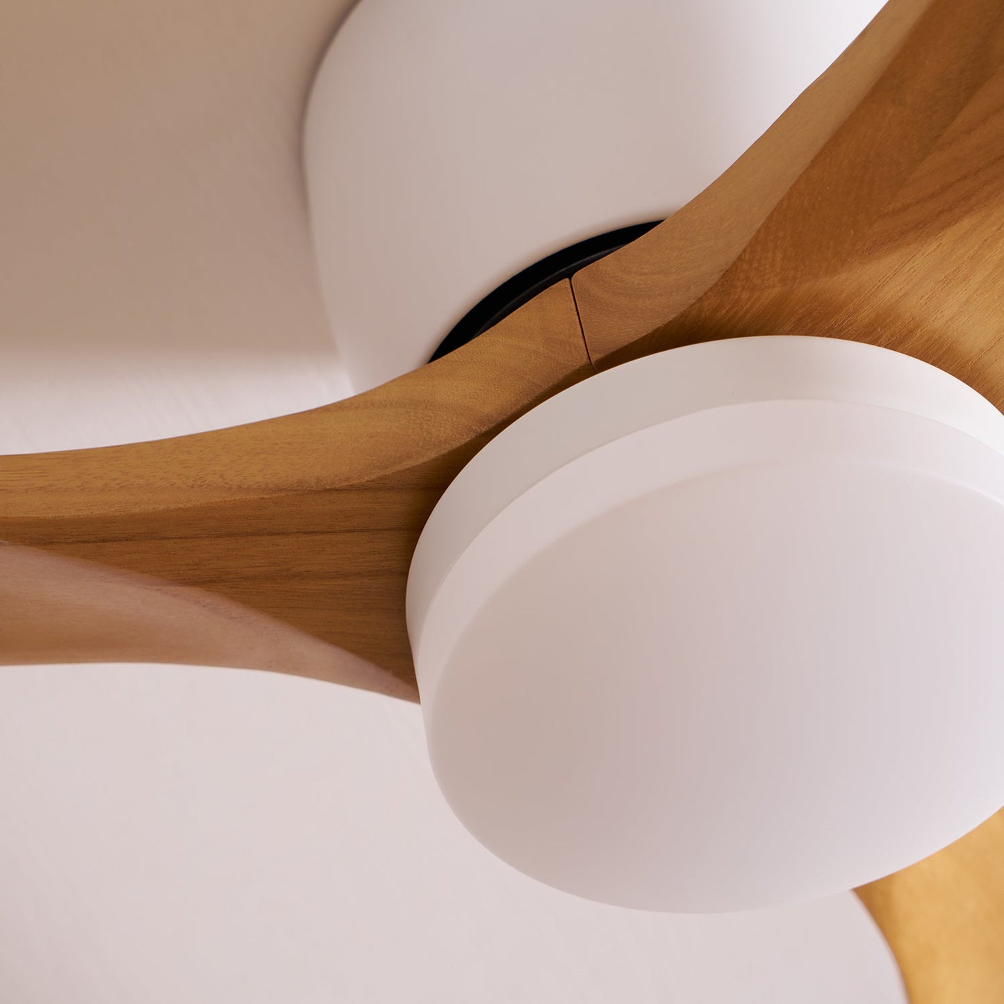 Moderne Plafondventilator Elena met Verlichting — Natuurhout & Zwart Exclusief Design