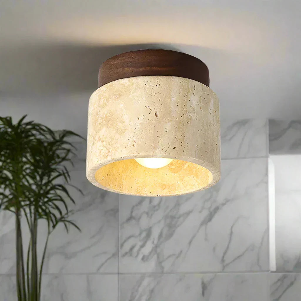 Plafondlamp Ovidus Stijlvol en Energiezuinig