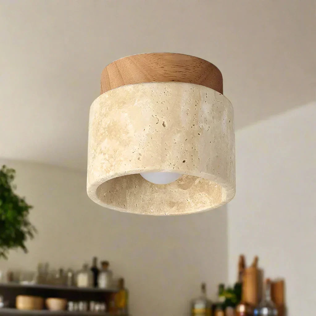 Stijlvolle Plafondlamp Ovidus Moderne Design