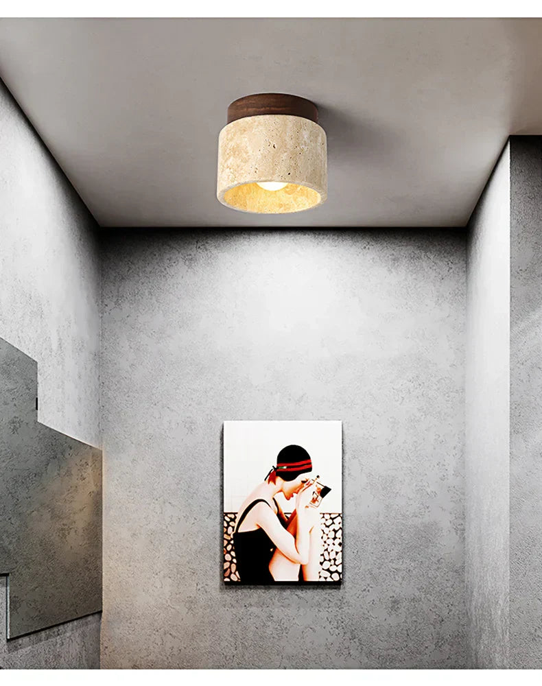 Stijlvolle Plafondlamp Ovidus Moderne Design