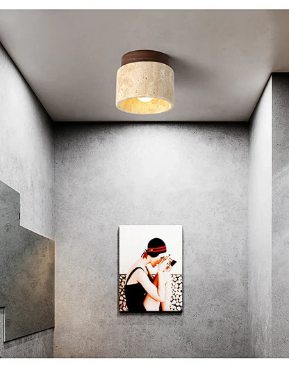 Plafondlamp Ovidus Stijlvol en Energiezuinig