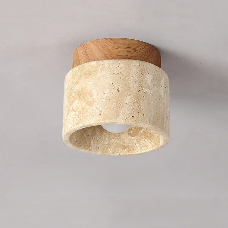 Stijlvolle Plafondlamp Ovidus Moderne Design