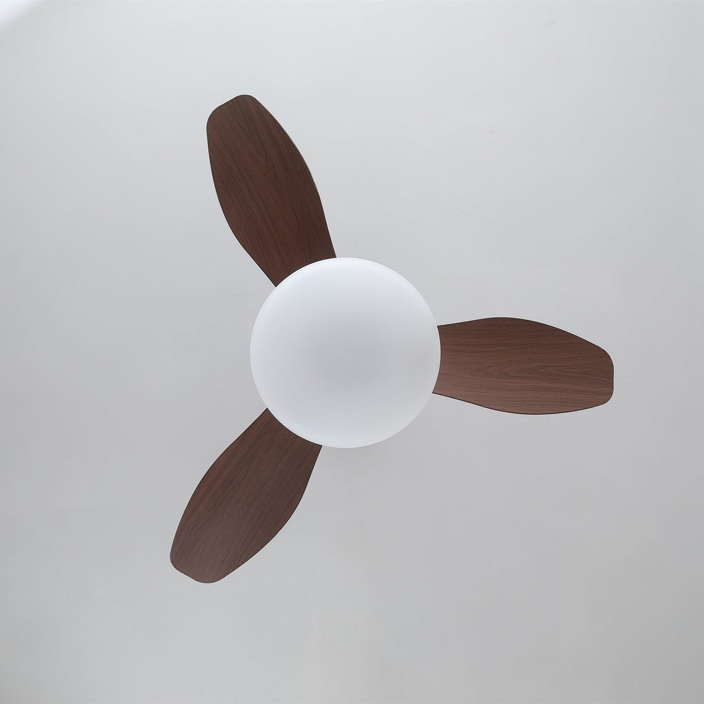 Sylvara Plafondventilator met Verlichting – 80cm – 6-Standen – Modern Design