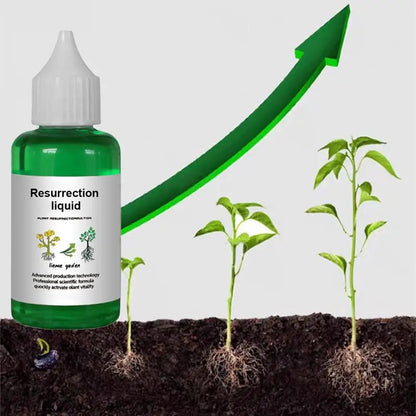 Vloeibare Plantenvoeding voor Sterkere Wortels en Rijkere Bloei | Universele Groeistimulator voor Binnen- en Buitenplanten