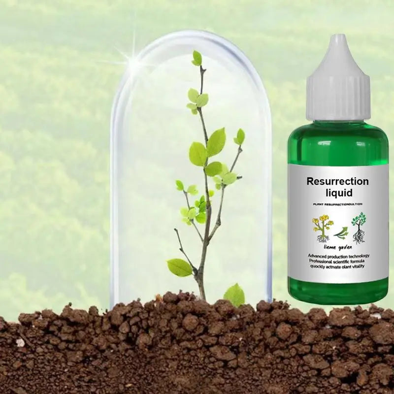 Vloeibare Plantenvoeding voor Sterkere Wortels en Rijkere Bloei | Universele Groeistimulator voor Binnen- en Buitenplanten