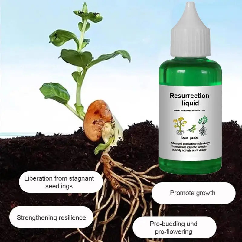Vloeibare Plantenvoeding voor Sterkere Wortels en Rijkere Bloei | Universele Groeistimulator voor Binnen- en Buitenplanten