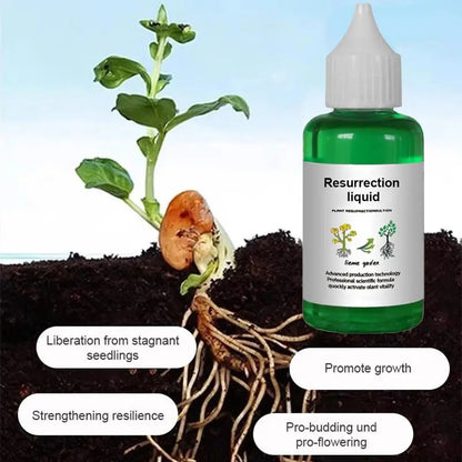 Vloeibare Plantenvoeding voor Sterkere Wortels en Rijkere Bloei | Universele Groeistimulator voor Binnen- en Buitenplanten