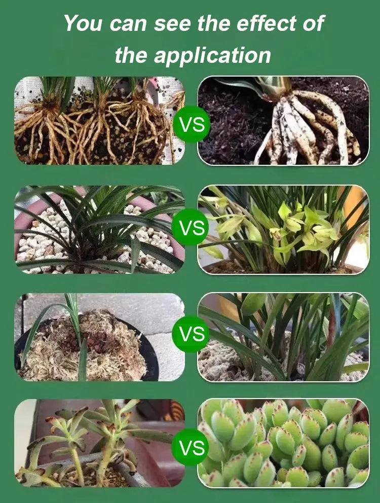Vloeibare Plantenvoeding voor Sterkere Wortels en Rijkere Bloei | Universele Groeistimulator voor Binnen- en Buitenplanten