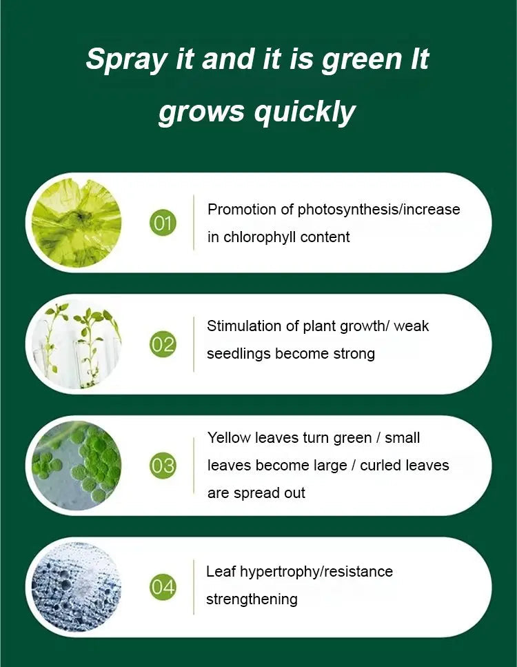 Vloeibare Plantenvoeding voor Sterkere Wortels en Rijkere Bloei | Universele Groeistimulator voor Binnen- en Buitenplanten