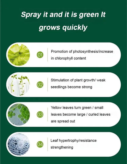 Vloeibare Plantenvoeding voor Sterkere Wortels en Rijkere Bloei | Universele Groeistimulator voor Binnen- en Buitenplanten