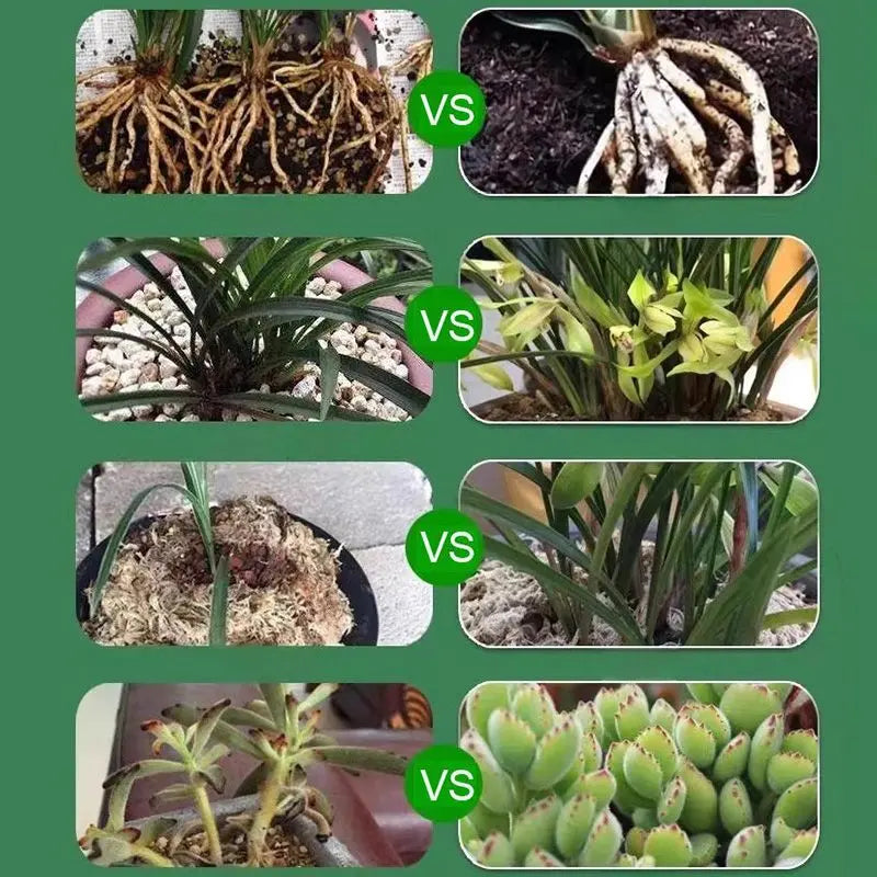 Vloeibare Plantenvoeding voor Sterkere Wortels en Rijkere Bloei | Universele Groeistimulator voor Binnen- en Buitenplanten
