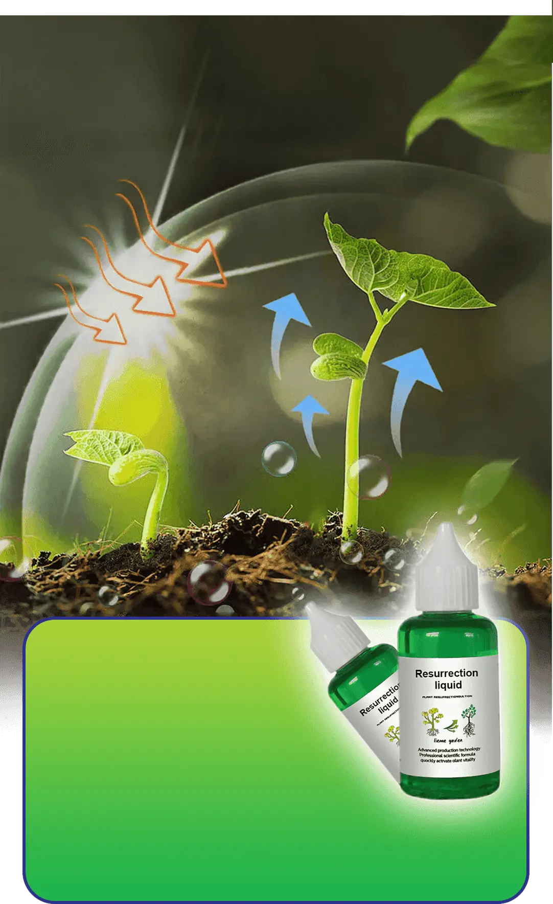 Vloeibare Plantenvoeding voor Sterkere Wortels en Rijkere Bloei | Universele Groeistimulator voor Binnen- en Buitenplanten