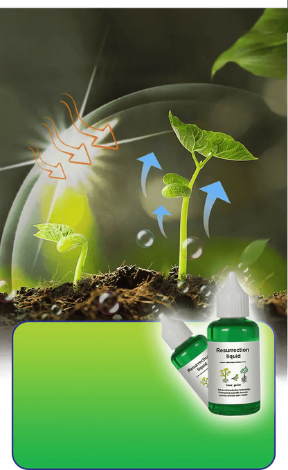 Vloeibare Plantenvoeding voor Sterkere Wortels en Rijkere Bloei | Universele Groeistimulator voor Binnen- en Buitenplanten