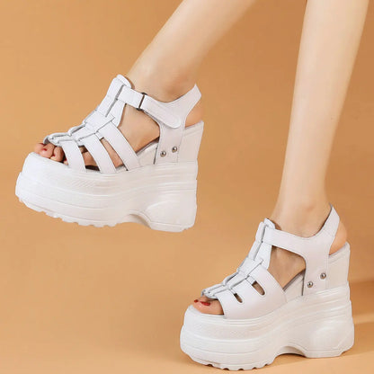Vrouwelijke Platform Schoenen met Hoge Hak