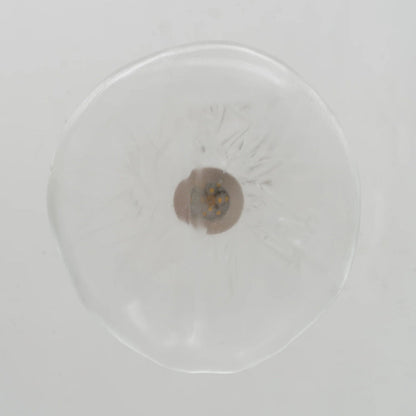 Glazen Hanglamp met Organische Textuur Transparant Rookgrijs Amber