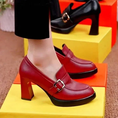 Hoge Puntige Hak Schoenen