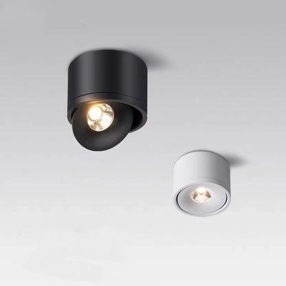 Opbouw Plafondspot LED Dimbaar Draaibaar Aluminium Wit Zwart Woonkamer Keuken Kantoor