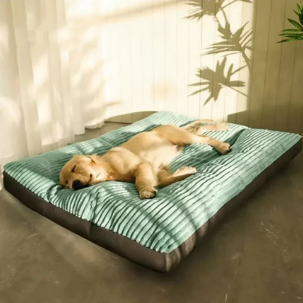 Hondenkussen Pluche Zacht Vulling Comfortabel Slaapkussen Hond Pup Senior Woonkamer
