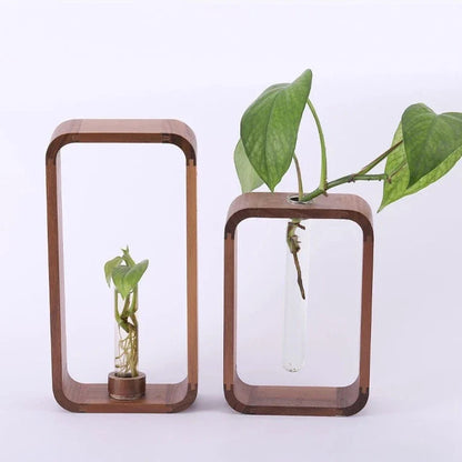 Glazen Vaas voor Stekjes met Houten Standaard – Decoratieve Propagator voor Planten