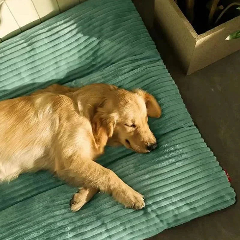 Hondenkussen Pluche Zacht Vulling Comfortabel Slaapkussen Hond Pup Senior Woonkamer