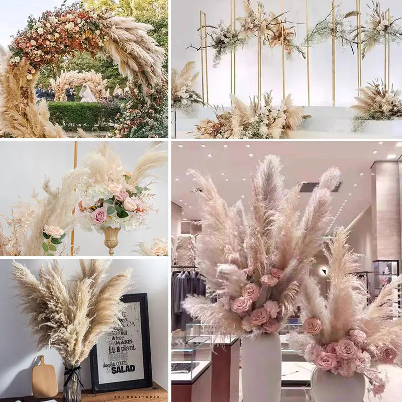 Gedroogde Pampagras Pluimen 10-Delige Set Natuurlijk Decoratief Siergras