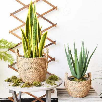 Plantenmand Gevlochten Zeegras Naturel S-L Woonkamer Balkon Handgemaakt Bloempot Mand Rotan Binnen Boho Decoratie