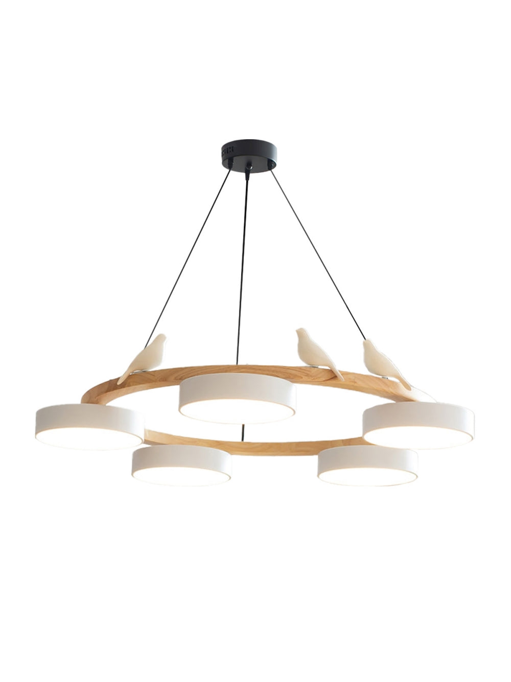 Decoratieve Vogelkroonluchter met Gekleurde Cirkels voor Eetkamer en Woonkamer