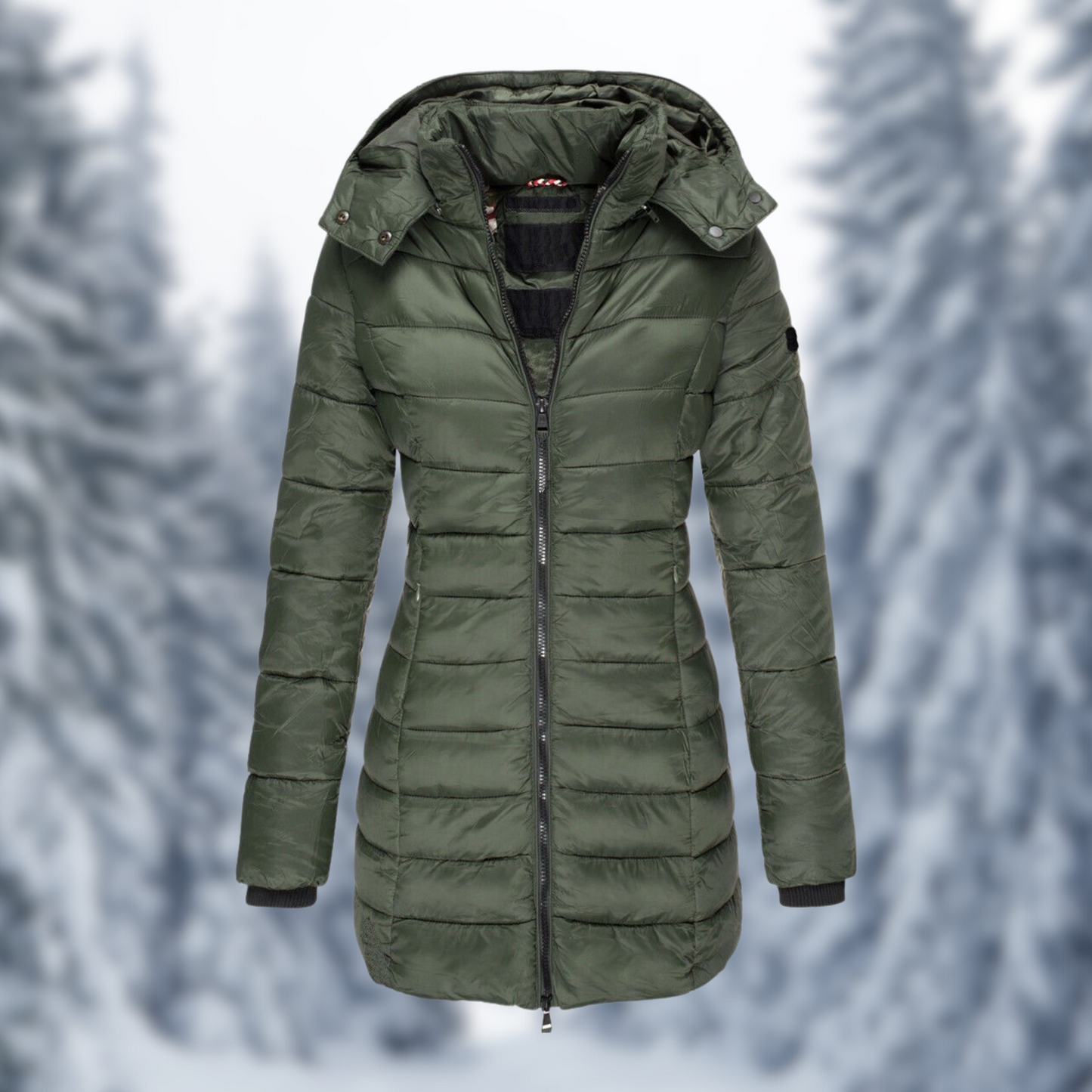 Dames Winterjas Warm en Waterdicht Isolatie Parka