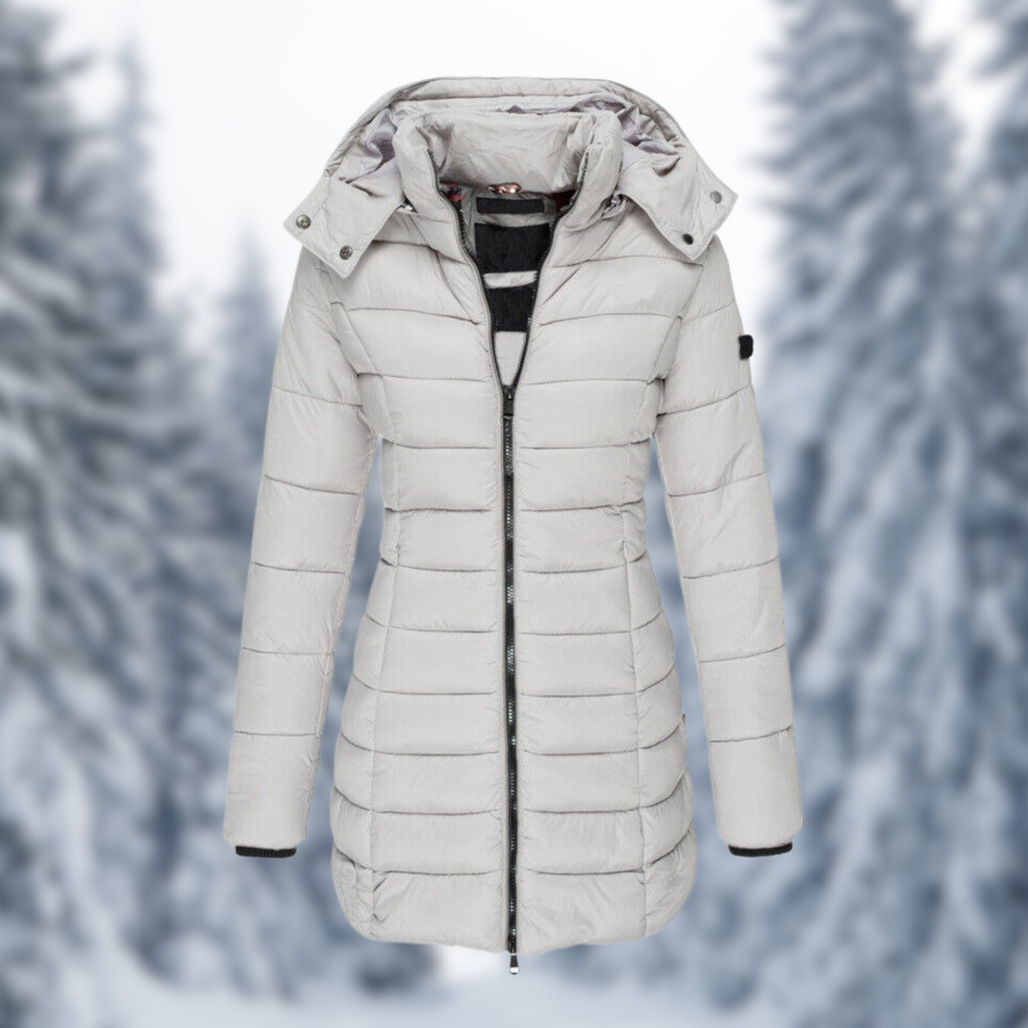Dames Winterjas Warm en Waterdicht Isolatie Parka